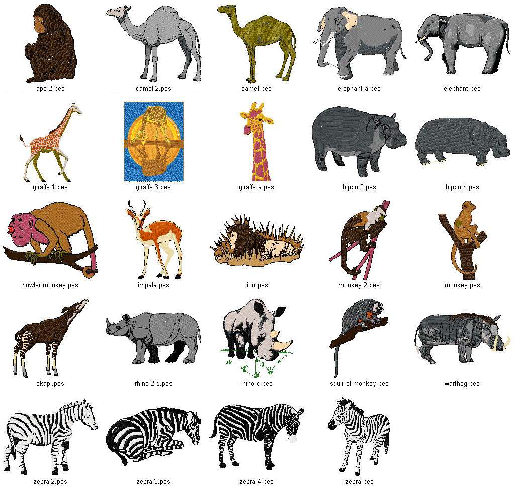 African Animals Pctures