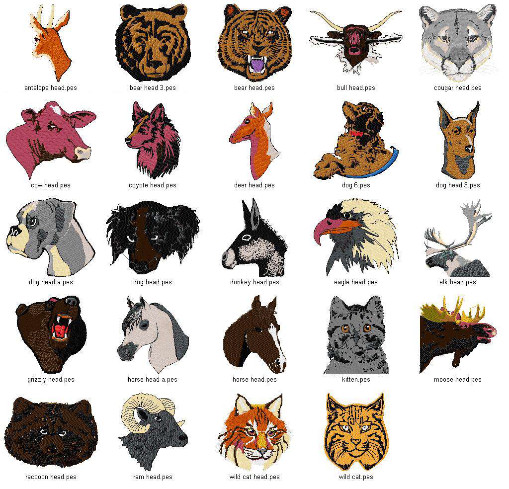 North American Animal Heads