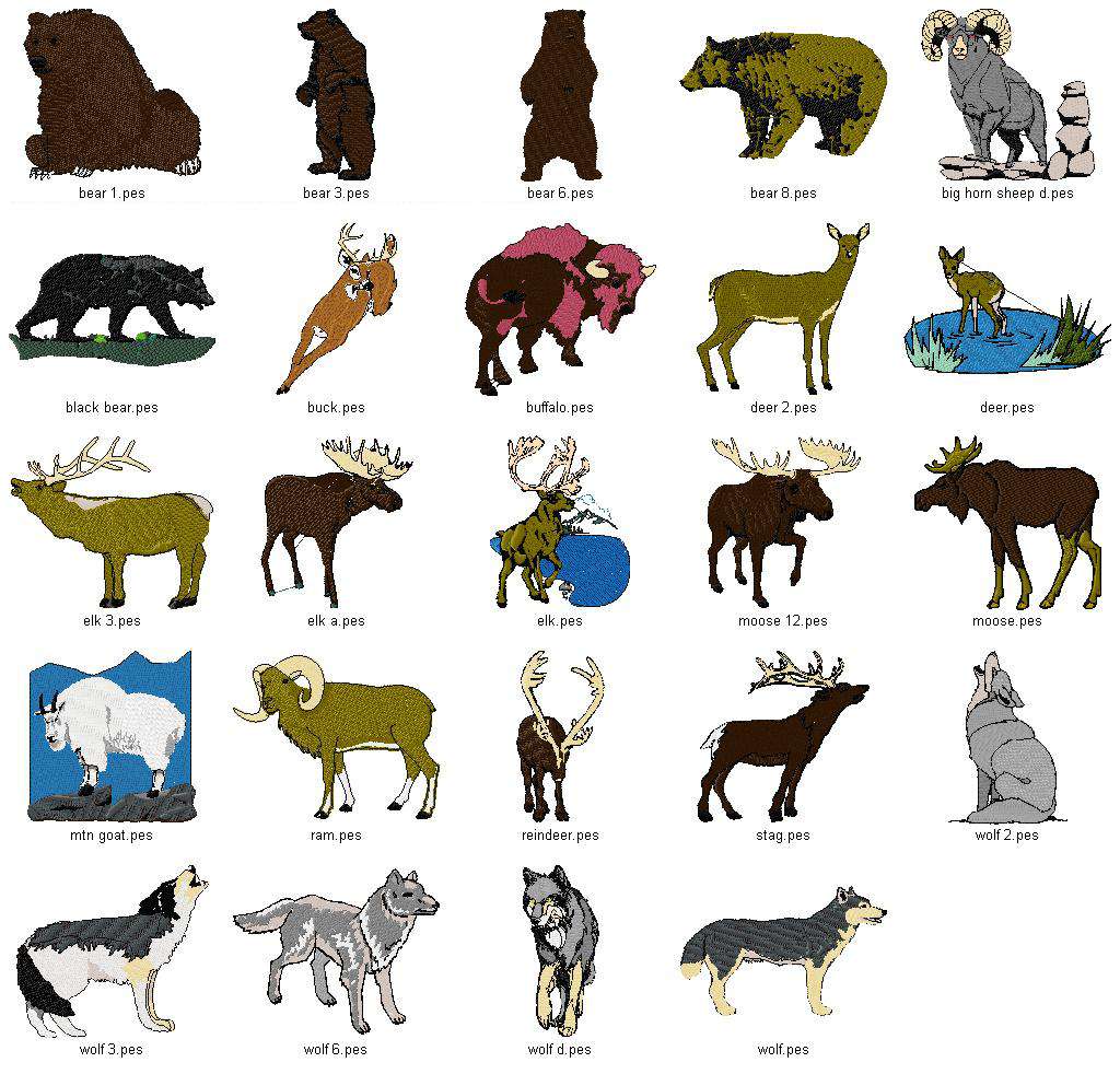 LARGE NORTH AMERICAN ANIMALS VOL. 2