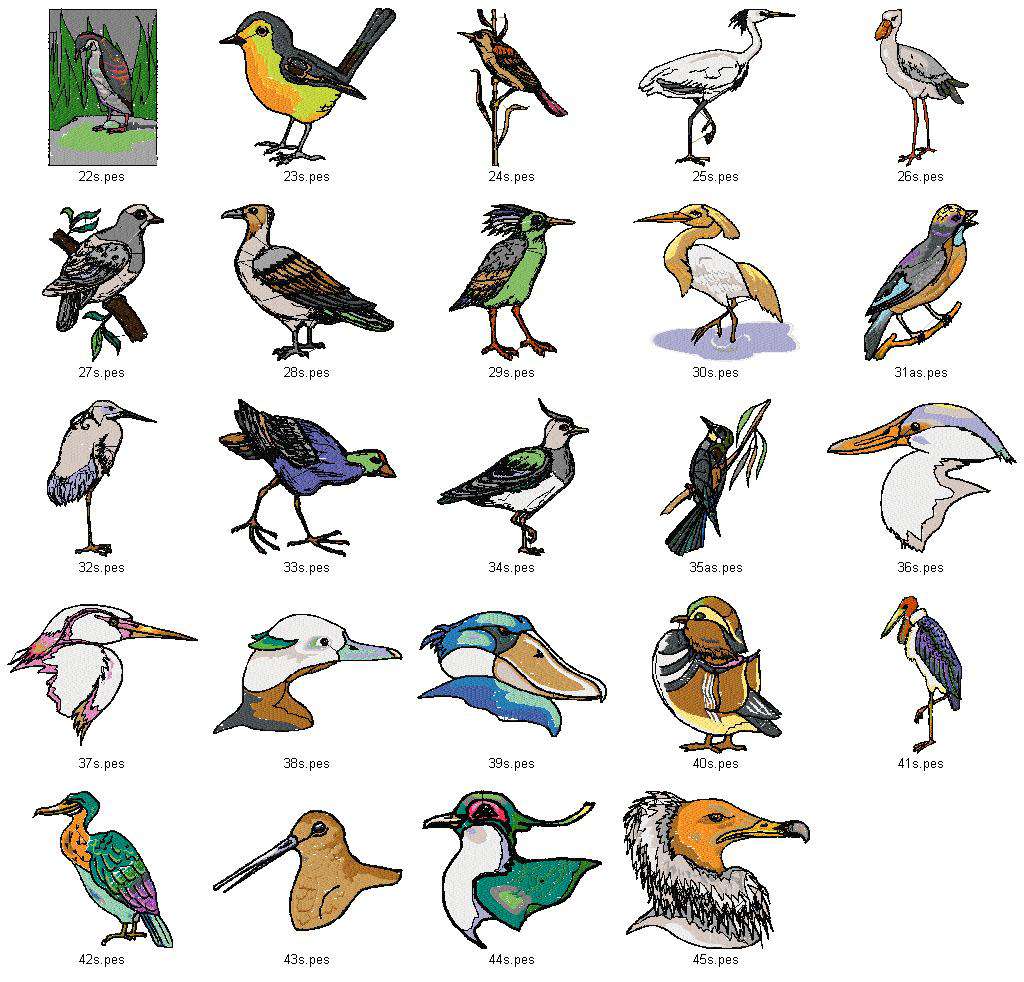 BIRDS COLLECTION   LD MACHINE EMBROIDERY DESIGNS  